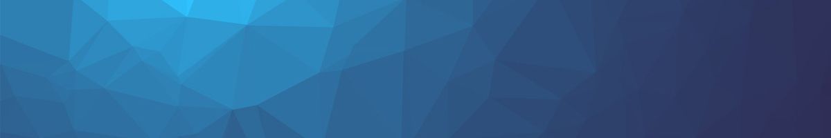 partners assetplusin